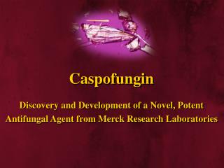 Antifungal Agent from Merck Research Laboratories