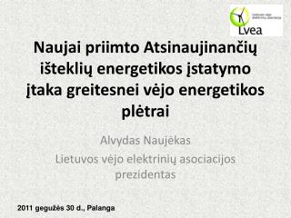 Alvydas Naujėkas Lietuvos vėjo elektrinių asociacijos prezidentas