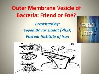 Outer Membrane Vesicle of Bacteria: Friend or Foe?