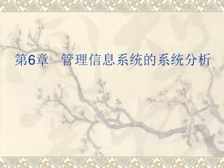 第 6 章 管理信息系统的系统分析