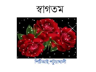 পিটিআই,পটুয়াখালী