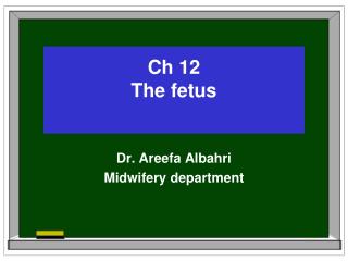 Ch 12 The fetus