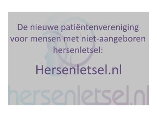 Hersenletsel.nl