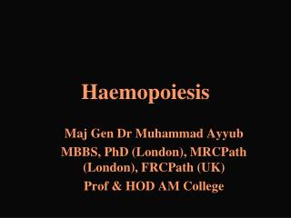 Haemopoiesis