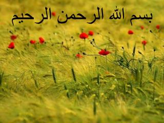 بسم الله الرحمن الرحیم