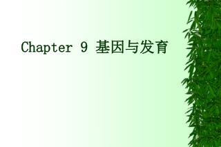 Chapter 9 基因与发育