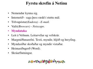 Fyrstu skrefin á Netinu