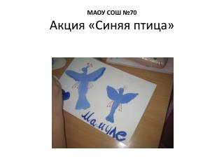 МАОУ СОШ №70 Акция «Синяя птица»