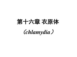 第十六章 衣原体 （ chlamydia ）