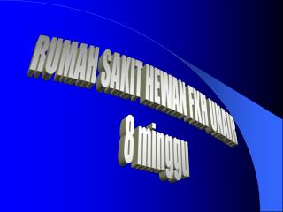 RUMAH SAKIT HEWAN FKH UNAIR 8 minggu