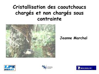 Cristallisation des caoutchoucs chargés et non chargés sous contrainte