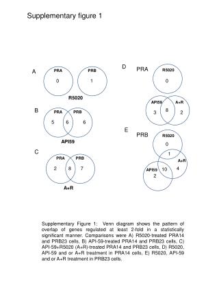 Supplementary figure 1