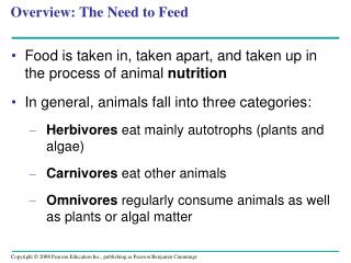 Overview: The Need to Feed