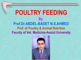 POULTRY FEEDING