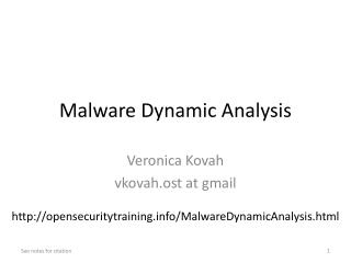 Malware Dynamic Analysis