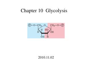 Chapter 10 Glycolysis