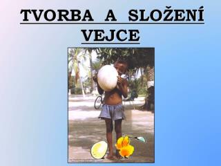 vejce_2009_2010_obrazky