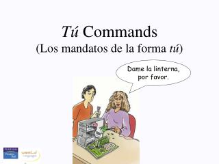 Tú Commands