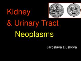 Kidney &amp; Urinary Tract 			 Neoplasms