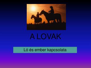 A LOVAK