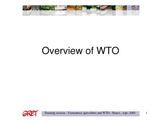 Overview of WTO