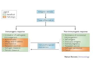 Negative regulation of immune responses by various mechanisms