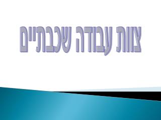 צוות עבודה שכבתיים