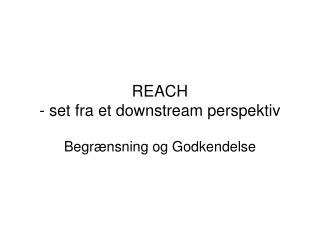 REACH - set fra et downstream perspektiv