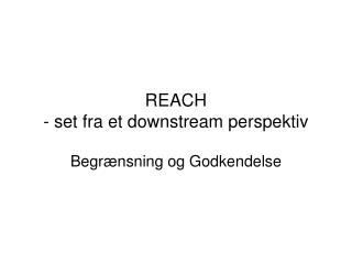 REACH - set fra et downstream perspektiv