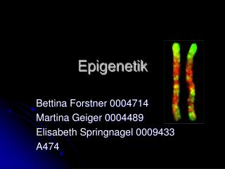 Epigenetik