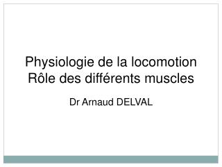 Physiologie de la locomotion Rôle des différents muscles