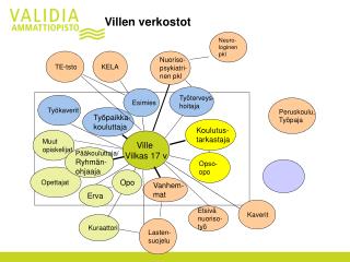 Villen verkostot