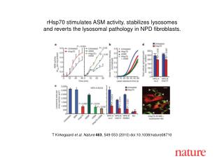 T Kirkegaard et al. Nature 463 , 549 - 553 (2010) doi:10.1038/nature08 710