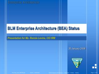 BLM Enterprise Architecture (BEA) Status
