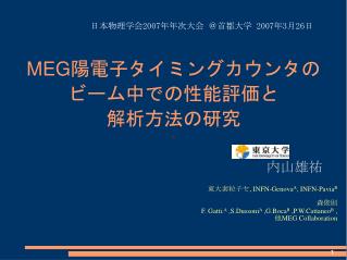 MEG陽電子タイミングカウンタのビーム中での性能評価と 解析方法の研究 *