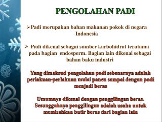 PENGOLAHAN PADI