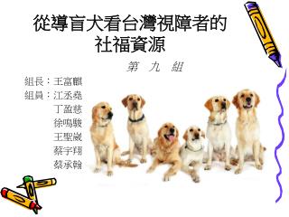 從導盲犬看台灣視障者的社福資源