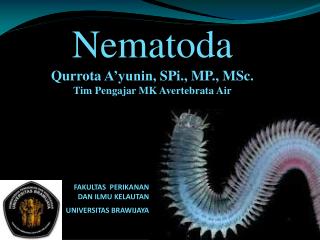 Nematoda Qurrota A’yunin , SPi ., MP., MSc. Tim Pengajar MK Avertebrata Air