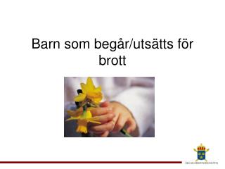 Barn som begår/utsätts för brott