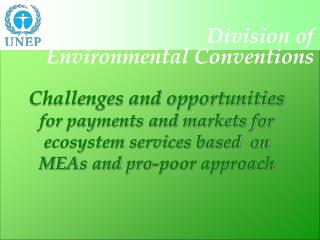 Pro-Poor Markets for Ecosystem Services 10-12 October, LSE, London, UK