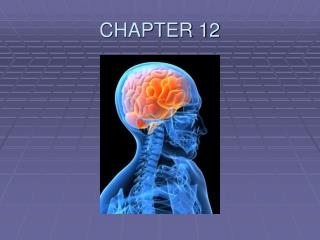 CHAPTER 12