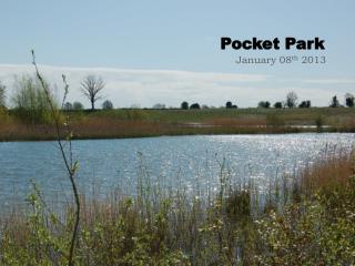 Pocket Park