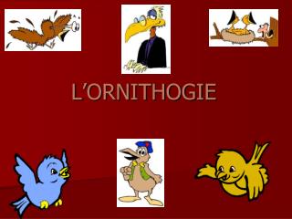 L’ORNITHOGIE