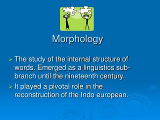 Morphology