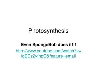 Photosynthesis