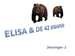 ELISA &amp; DE 42 KNAPEN