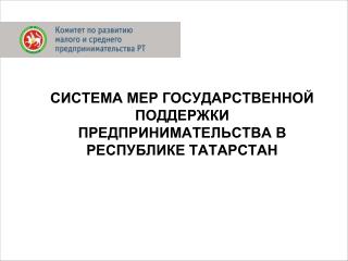 СИСТЕМА МЕР ГОСУДАРСТВЕННОЙ ПОДДЕРЖКИ ПРЕДПРИНИМАТЕЛЬСТВА В РЕСПУБЛИКЕ ТАТАРСТАН