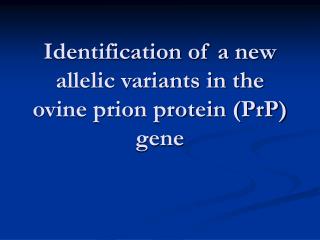 Identification of a new allelic variants in the ovine prion protein (PrP) gene