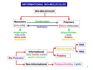 INFORMATIONAL BIO-MOLECULES