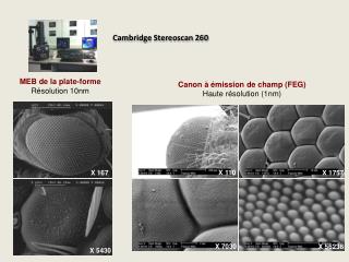 Cambridge Stereoscan 260